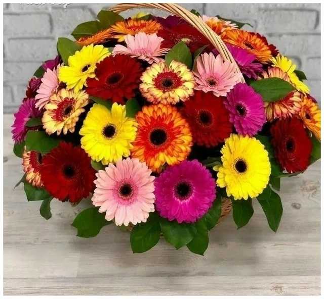 Поздравляем с Днем Рождения получателя социальных услуг.