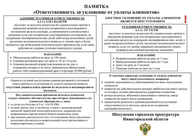 Ответственность за уклонение от уплаты алиментов