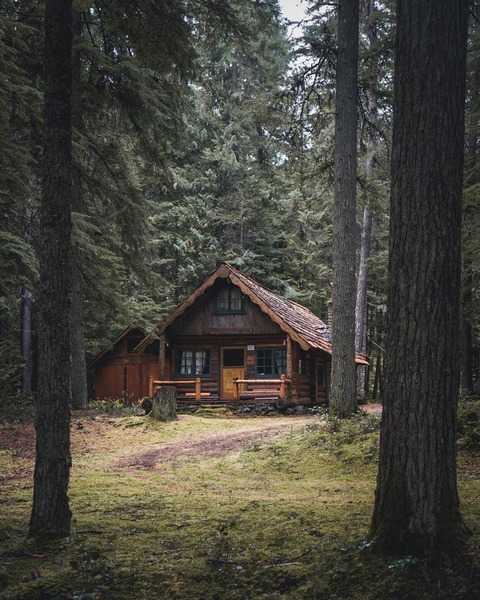 Чтение книг