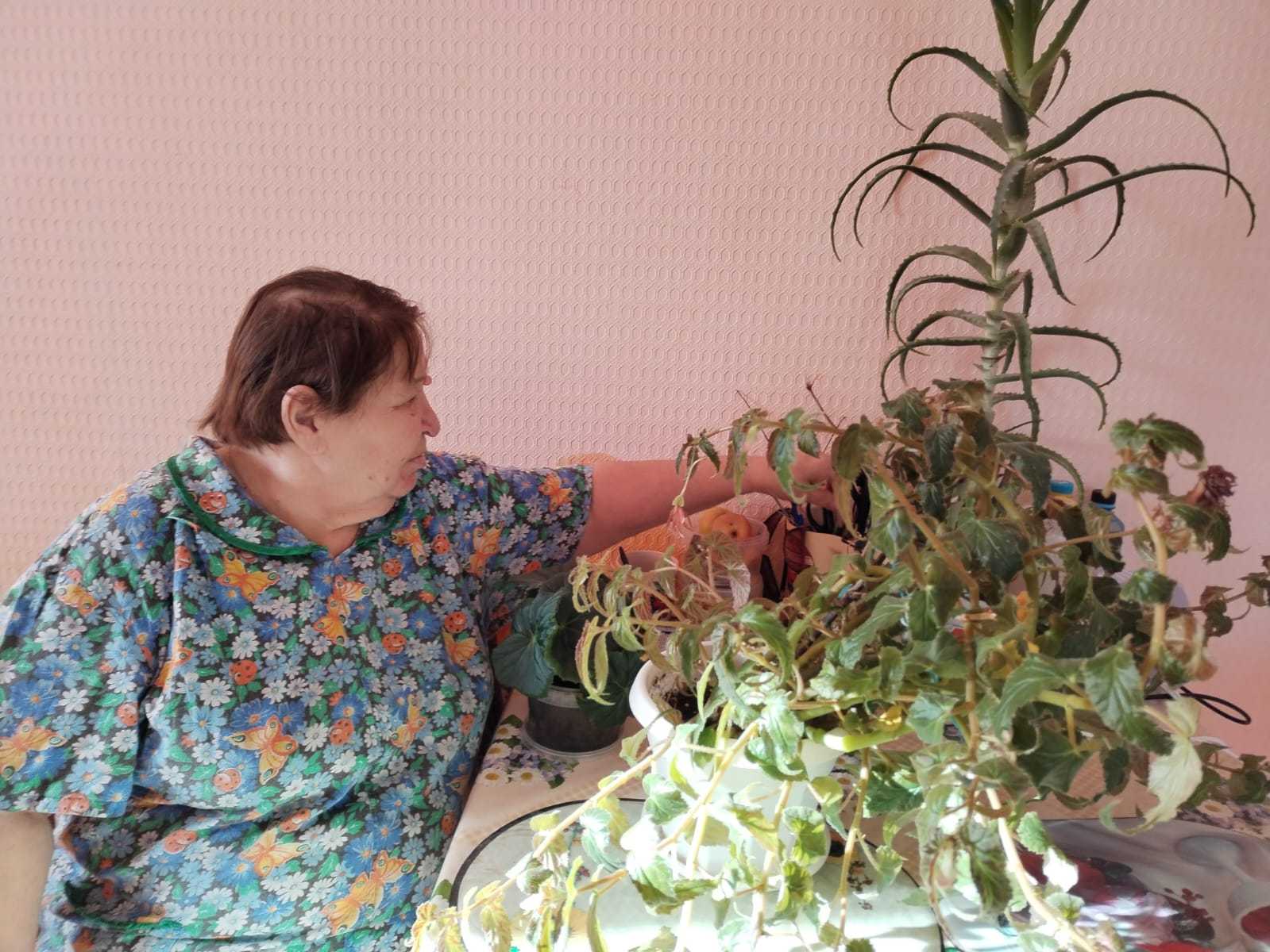 Трудотерапия: «Цветы с землей — исцеление тела и души»