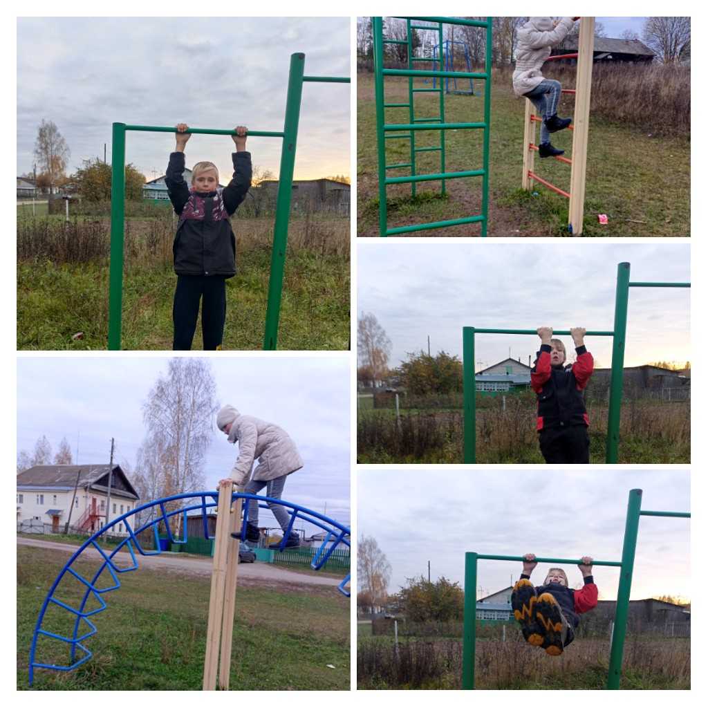 ЗОЖ