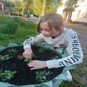 Ребята сажают цветы