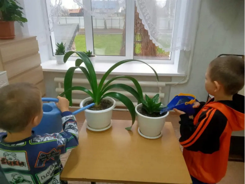 Любимое занятие- уход за цветами.