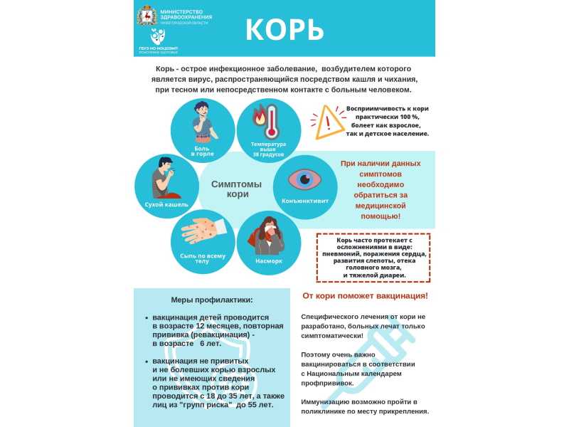 Информационная памятка по кори!