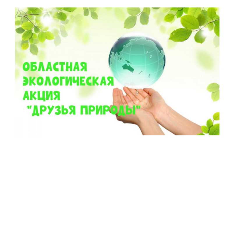 Итоги областной экологической акции 