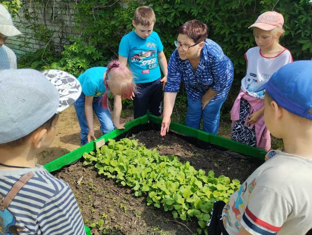летний лагерь 