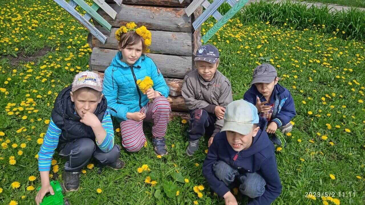 День одуванчиков