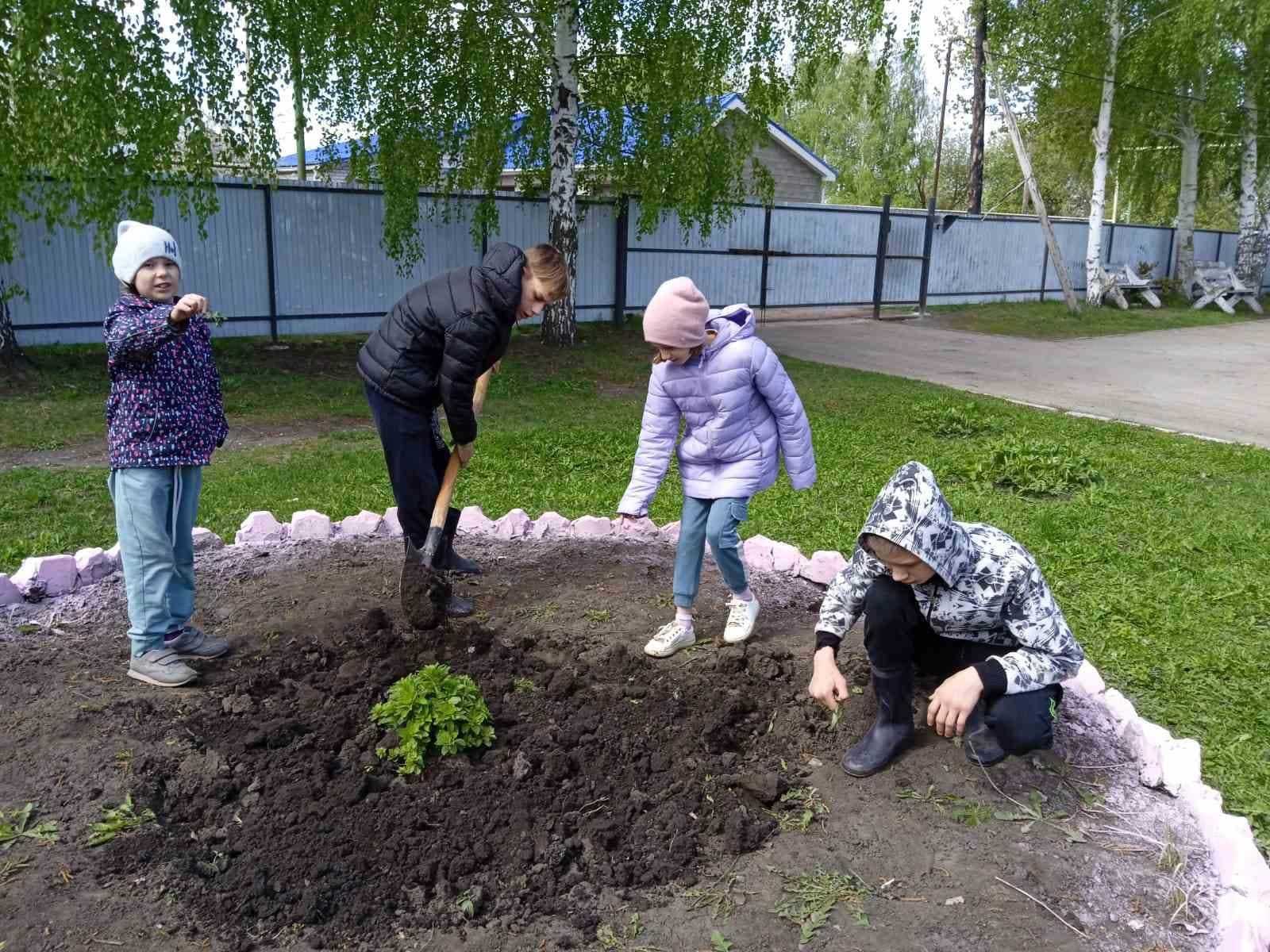 Трудотерапия