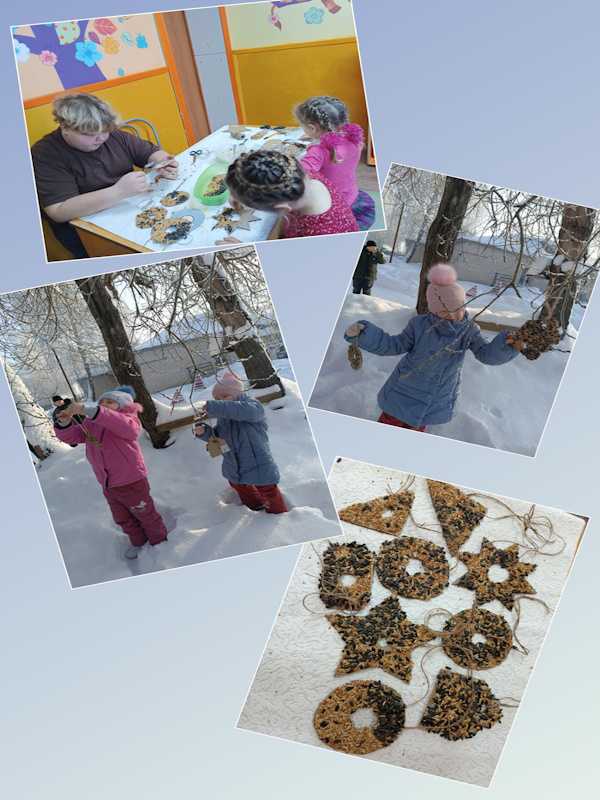 ЭКО-КОРМУШКИ ДЛЯ ПЕРНАТЫХ