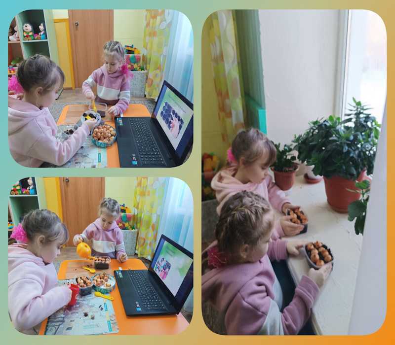 ВИТАМИНЫ НА ОКОШКЕ