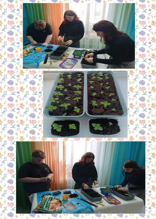 ЮНЫЕ САДОВОДЫ