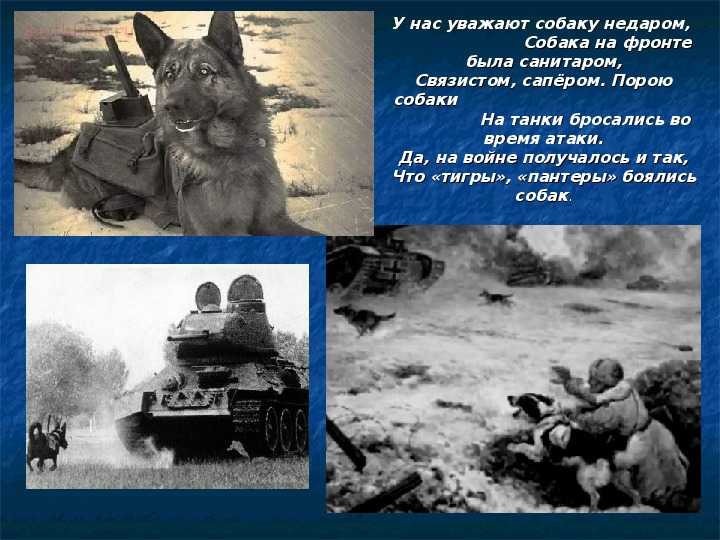 «Мы тоже служим Родине!»