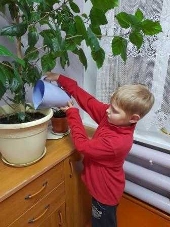 Трудовой час 