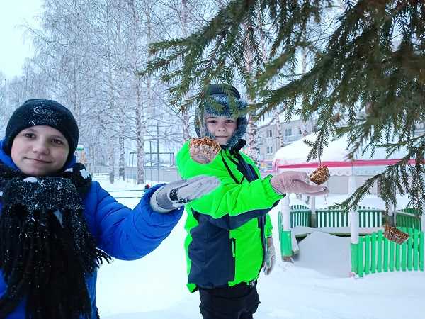 День зимующих птиц