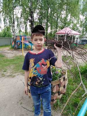 День охраны окружающей среды