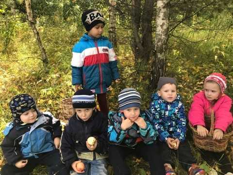 Осенняя прогулка