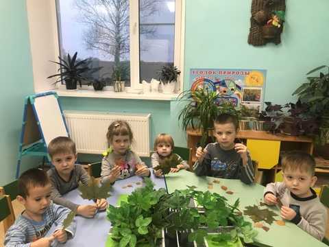 Работа с природным материалом