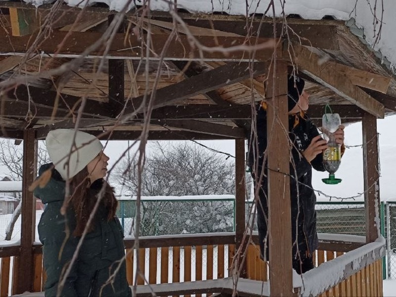 Забота о пернатых друзьях зимой! 