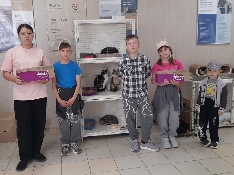 Экскурсия в приют для животных