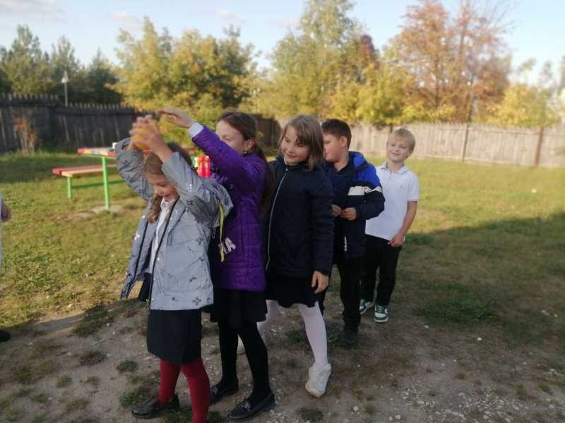 Всемирный день сердца