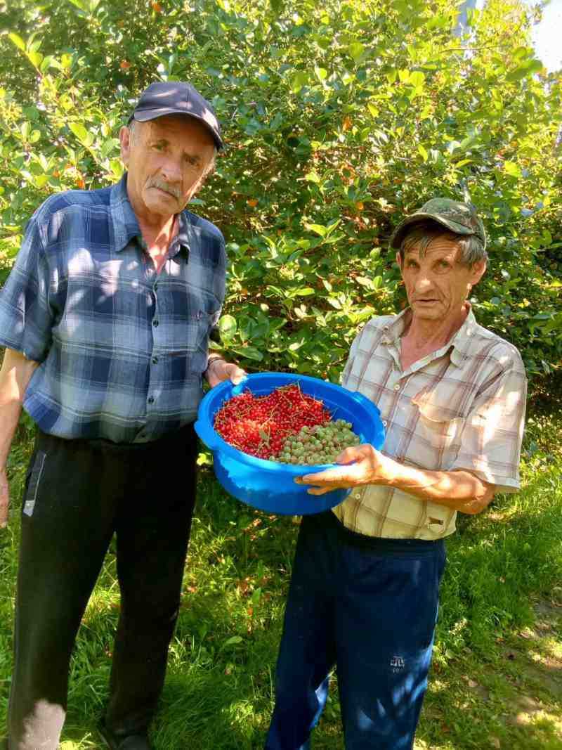 Сбор полезных витаминов