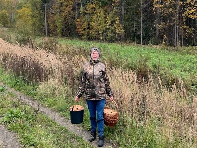 Сбор грибов сотрудниками дома-интерната