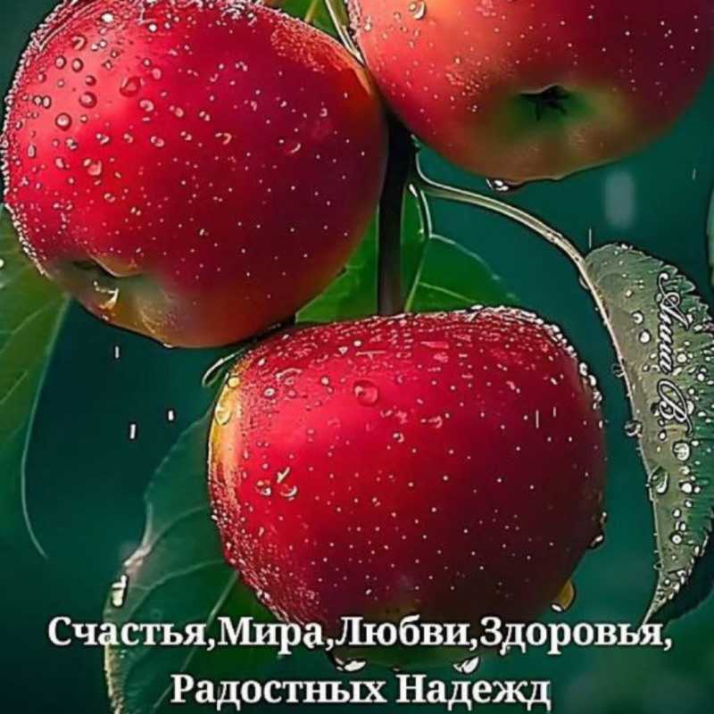 Поздравляем всех С Яблочным Спасом!