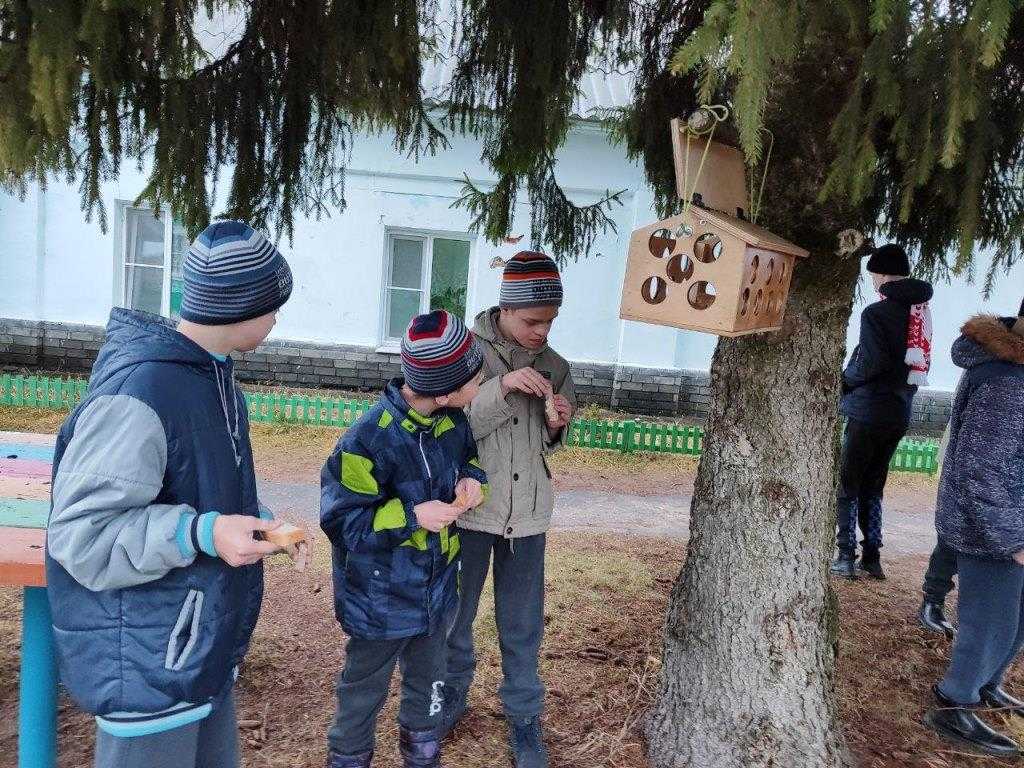 Птичья кормушка.