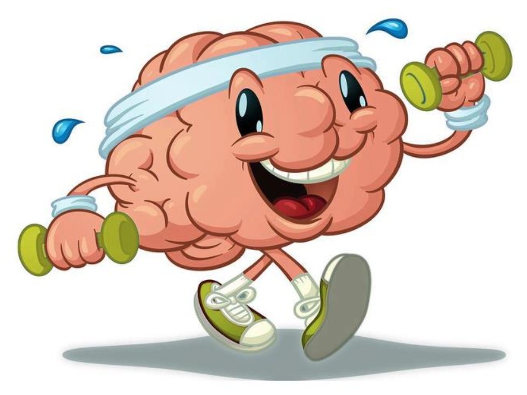  Занятие по нейрогимнастике. 